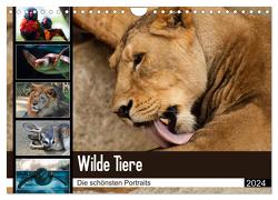 Wilde Tiere – Die schönsten Portraits (Wandkalender 2024 DIN A4 quer), CALVENDO Monatskalender von Enderlein - Bethari Bengals,  Sylke