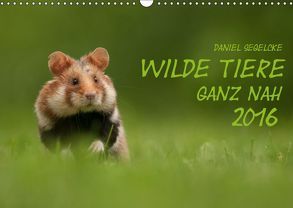 Wilde Tiere – Ganz nah (Wandkalender 2019 DIN A3 quer) von Segelcke,  Daniel