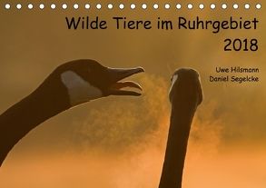 Wilde Tiere im Ruhrgebiet (Tischkalender 2018 DIN A5 quer) von Hilsmann,  Uwe, Segelcke,  Daniel