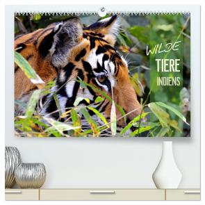 Wilde Tiere Indiens (hochwertiger Premium Wandkalender 2024 DIN A2 quer), Kunstdruck in Hochglanz von Bergermann,  Manfred