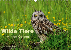 Wilde Tiere vor der Kamera (Wandkalender 2020 DIN A3 quer) von Lequen,  Wolfgang