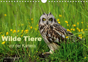 Wilde Tiere vor der Kamera (Wandkalender 2021 DIN A4 quer) von Lequen,  Wolfgang