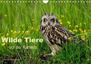 Wilde Tiere vor der Kamera (Wandkalender 2023 DIN A4 quer) von Lequen,  Wolfgang