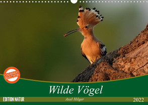 Wilde Vögel (Wandkalender 2022 DIN A3 quer) von Hilger,  Axel