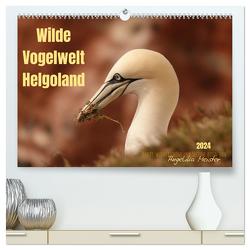 Wilde Vogelwelt Helgoland (hochwertiger Premium Wandkalender 2024 DIN A2 quer), Kunstdruck in Hochglanz von Meister,  Angelika