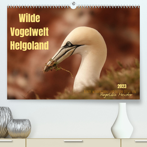 Wilde Vogelwelt Helgoland (Premium, hochwertiger DIN A2 Wandkalender 2023, Kunstdruck in Hochglanz) von Meister,  Angelika