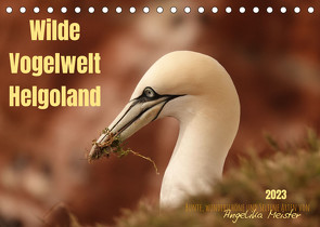 Wilde Vogelwelt Helgoland (Tischkalender 2023 DIN A5 quer) von Meister,  Angelika