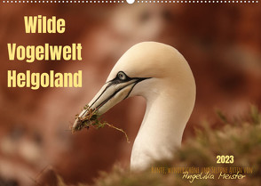 Wilde Vogelwelt Helgoland (Wandkalender 2023 DIN A2 quer) von Meister,  Angelika