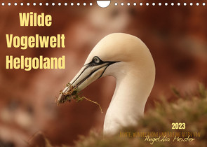 Wilde Vogelwelt Helgoland (Wandkalender 2023 DIN A4 quer) von Meister,  Angelika