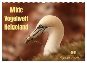 Wilde Vogelwelt Helgoland (Wandkalender 2024 DIN A2 quer), CALVENDO Monatskalender von Meister,  Angelika