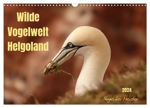 Wilde Vogelwelt Helgoland (Wandkalender 2024 DIN A3 quer), CALVENDO Monatskalender von Meister,  Angelika