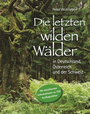 Wilde Wälder von Wohlleben,  Peter