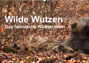 Wilde Wutzen. Das heimische Wildschwein (Wandkalender 2023 DIN A2 quer) von von Düren,  Alexander