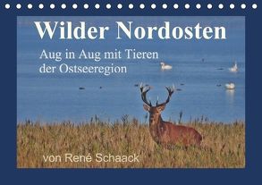 Wilder Nordosten – Aug in Aug mit Tieren der Ostseeregion (Tischkalender 2018 DIN A5 quer) von Schaack,  René