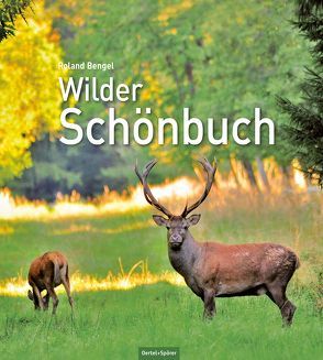 Wilder Schönbuch von Bengel,  Roland