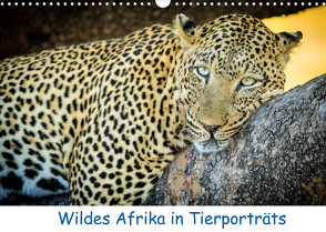 Wildes Afrika in Tierporträts (Wandkalender 2022 DIN A3 quer) von Weitzer,  Frank