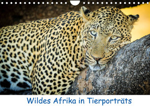 Wildes Afrika in Tierporträts (Wandkalender 2022 DIN A4 quer) von Weitzer,  Frank