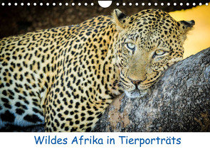 Wildes Afrika in Tierporträts (Wandkalender 2023 DIN A4 quer) von Weitzer,  Frank