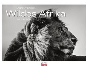 Wildes Afrika – Kalender 2019 von Baheux,  Laurent, Weingarten