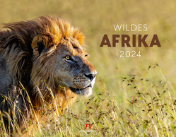 Wildes Afrika Kalender 2024