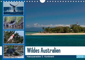 Wildes Australien – Naturparadies 5. Kontinent (Wandkalender 2019 DIN A4 quer) von Photo4emotion.com