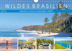 Wildes Brasilien: Reiseziel mit einer einzigartigen Vielfalt (Wandkalender 2019 DIN A4 quer) von CALVENDO