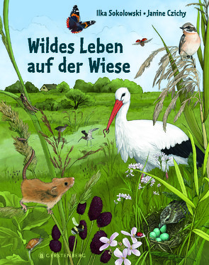 Wildes Leben auf der Wiese von Czichy,  Janine, Sokolowski,  Ilka