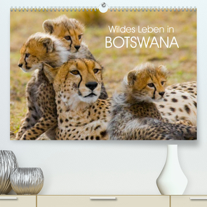 Wildes Leben in Botswana (Premium, hochwertiger DIN A2 Wandkalender 2023, Kunstdruck in Hochglanz) von Stanzer,  Elisabeth