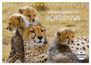 Wildes Leben in Botswana (Tischkalender 2024 DIN A5 quer), CALVENDO Monatskalender von Stanzer,  Elisabeth