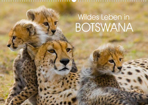 Wildes Leben in Botswana (Wandkalender 2023 DIN A2 quer) von Stanzer,  Elisabeth