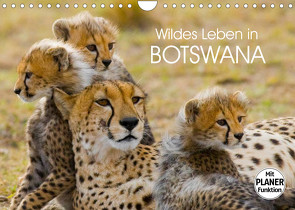 Wildes Leben in Botswana (Wandkalender 2023 DIN A4 quer) von Stanzer,  Elisabeth