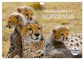 Wildes Leben in Botswana (Wandkalender 2024 DIN A4 quer), CALVENDO Monatskalender von Stanzer,  Elisabeth