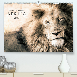 wildes – lebendiges AFRIKA (Premium, hochwertiger DIN A2 Wandkalender 2020, Kunstdruck in Hochglanz) von SEIFINGER,  TOBY