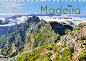 Wildes Madeira – Inselimpressionen (Wandkalender 2022 DIN A2 quer) von Stamm,  Dirk