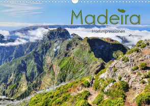 Wildes Madeira – Inselimpressionen (Wandkalender 2022 DIN A3 quer) von Stamm,  Dirk