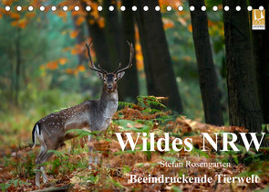 Wildes NRW – Beeindruckende Tierwelt (Tischkalender 2023 DIN A5 quer) von Rosengarten,  Stefan