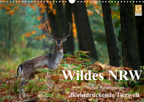 Wildes NRW – Beeindruckende Tierwelt (Wandkalender 2022 DIN A3 quer) von Rosengarten,  Stefan