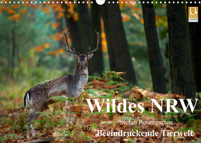 Wildes NRW – Beeindruckende Tierwelt (Wandkalender 2023 DIN A3 quer) von Rosengarten,  Stefan