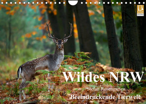 Wildes NRW – Beeindruckende Tierwelt (Wandkalender 2023 DIN A4 quer) von Rosengarten,  Stefan