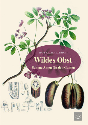 Wildes Obst von Albrecht,  Hans-Joachim