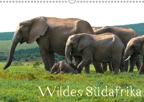 Wildes Südafrika (Wandkalender 2018 DIN A3 quer) von Stützle