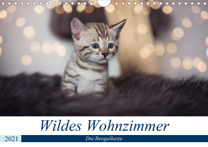 Wildes Wohnzimmer – Die Bengalkatze (Wandkalender 2021 DIN A4 quer) von meets Elos Photography,  Robyn