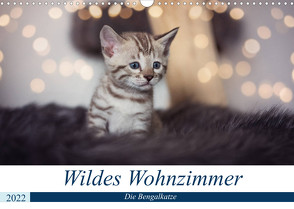 Wildes Wohnzimmer – Die Bengalkatze (Wandkalender 2022 DIN A3 quer) von meets Elos Photography,  Robyn