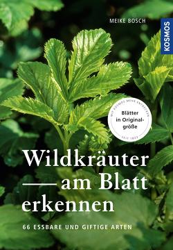 Wildkräuter am Blatt erkennen von Bosch,  Meike