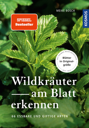 Wildkräuter am Blatt erkennen von Bosch,  Meike