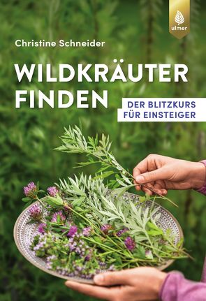 Wildkräuter finden