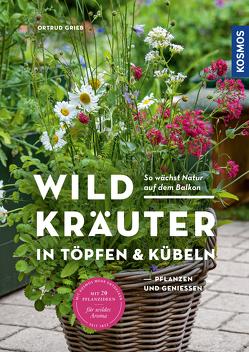 Wildkräuter in Töpfen & Kübeln von Grieb,  Ortrud