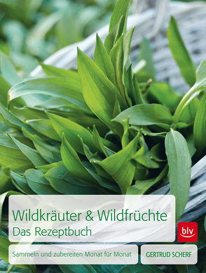 Wildkräuter & Wildfrüchte Das Rezeptbuch von Scherf,  Gertrud