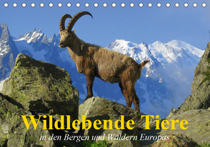 Wildlebende Tiere in den Bergen und Wäldern Europas (Tischkalender 2021 DIN A5 quer) von Stanzer,  Elisabeth