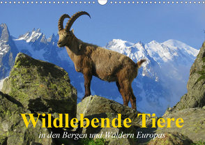 Wildlebende Tiere in den Bergen und Wäldern Europas (Wandkalender 2021 DIN A3 quer) von Stanzer,  Elisabeth